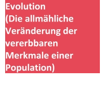 Evolution     ( Die  allmähliche  Veränderung   der  vererbbaren  Merkmale einer  Population )